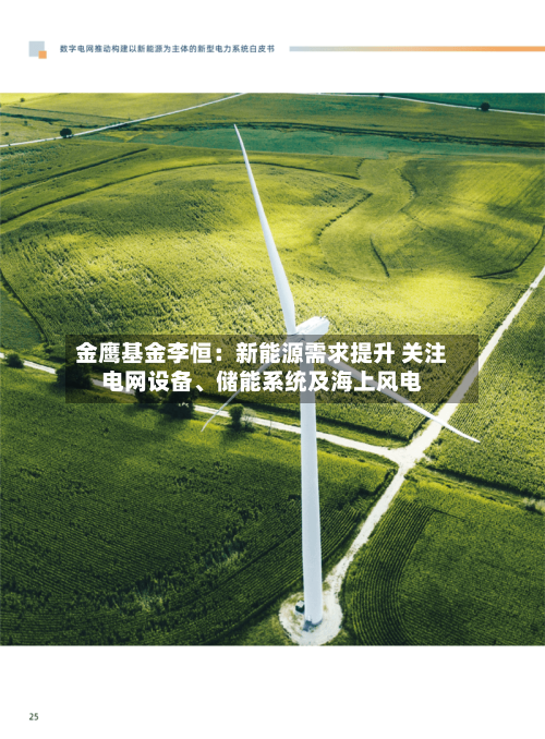 金鹰基金李恒：新能源需求提升 关注电网设备、储能系统及海上风电