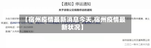 【宿州疫情最新消息今天,宿州疫情最新状况】-第2张图片