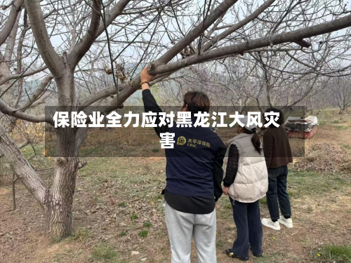 保险业全力应对黑龙江大风灾害