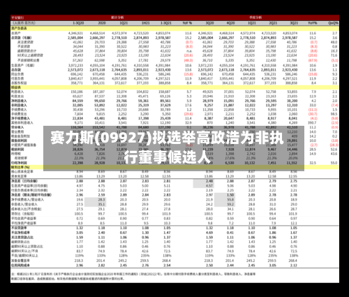 赛力斯(09927)拟选举高政浩为非执行董事候选人
