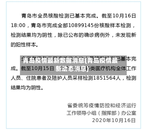 青岛疫情最新数据消息(青岛疫情最新动态消息)-第2张图片