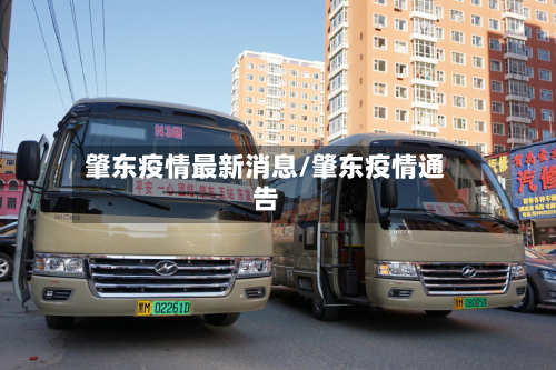 肇东疫情最新消息/肇东疫情通告-第2张图片