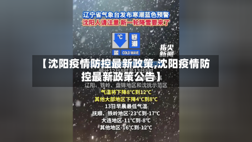 【沈阳疫情防控最新政策,沈阳疫情防控最新政策公告】