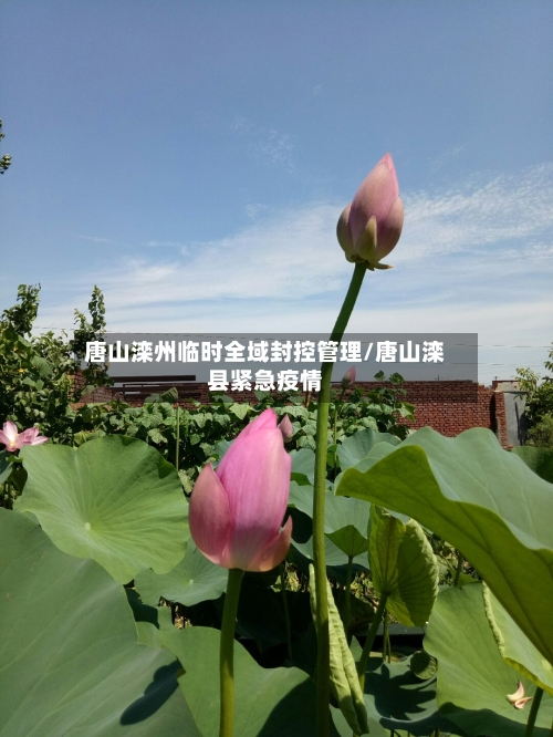 唐山滦州临时全域封控管理/唐山滦县紧急疫情