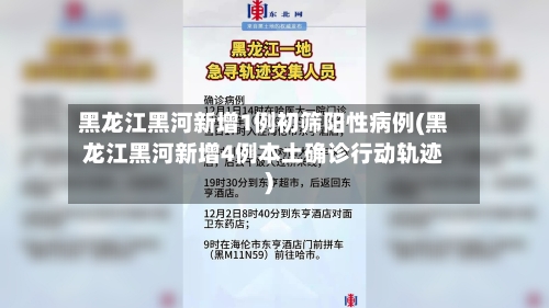 黑龙江黑河新增1例初筛阳性病例(黑龙江黑河新增4例本土确诊行动轨迹)-第2张图片