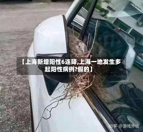 【上海新增阳性6连降,上海一地发生多起阳性病例?假的】