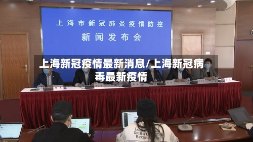 上海新冠疫情最新消息/上海新冠病毒最新疫情-第2张图片