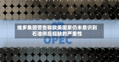 维多集团警告称欧美国家仍未意识到石油供应短缺的严重性