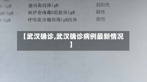 【武汉确诊,武汉确诊病例最新情况】-第2张图片
