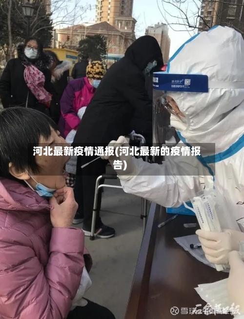 河北最新疫情通报(河北最新的疫情报告)-第2张图片