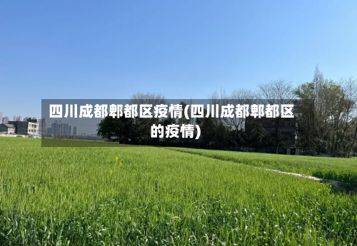 四川成都郫都区疫情(四川成都郫都区的疫情)