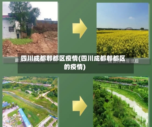 四川成都郫都区疫情(四川成都郫都区的疫情)-第3张图片