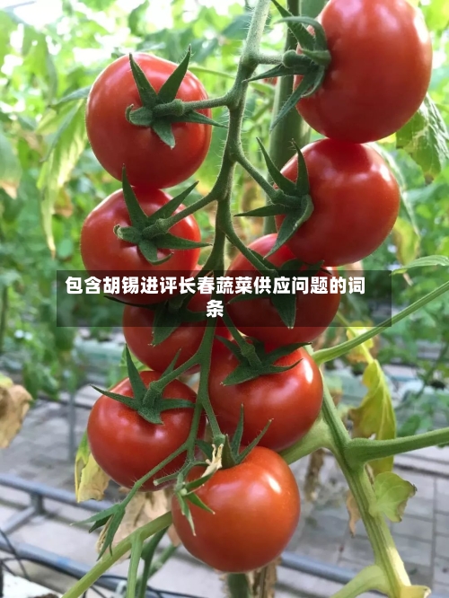 包含胡锡进评长春蔬菜供应问题的词条