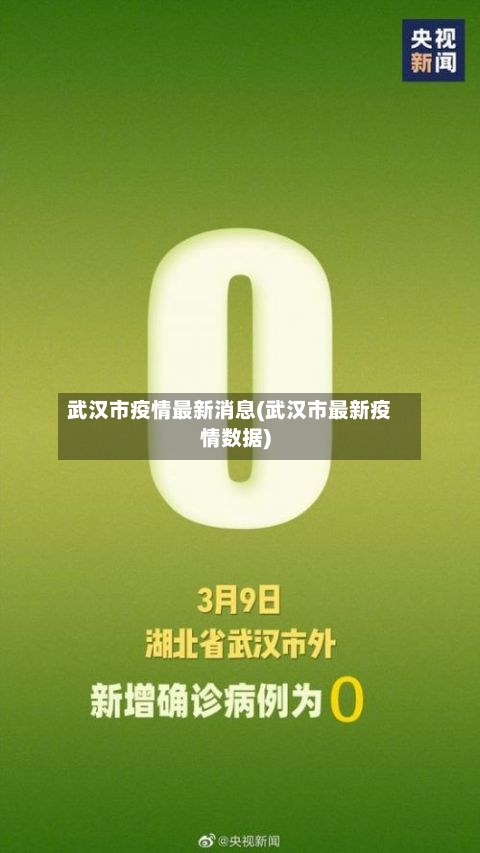 武汉市疫情最新消息(武汉市最新疫情数据)
