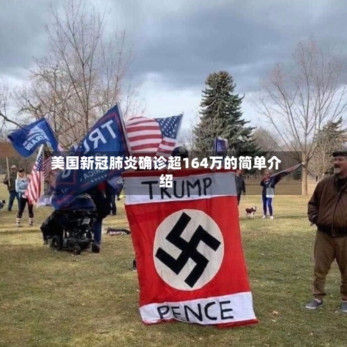 美国新冠肺炎确诊超164万的简单介绍-第2张图片