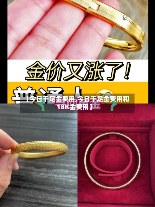 【今日千足金费用,今日千足金费用和18K金费用】-第2张图片