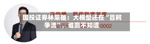国投证券林荣雄：大模型还在“百舸争流”，谁赢不知道