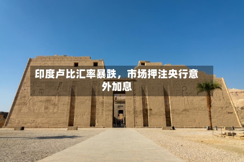 印度卢比汇率暴跌，市场押注央行意外加息