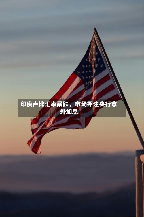 印度卢比汇率暴跌，市场押注央行意外加息-第2张图片