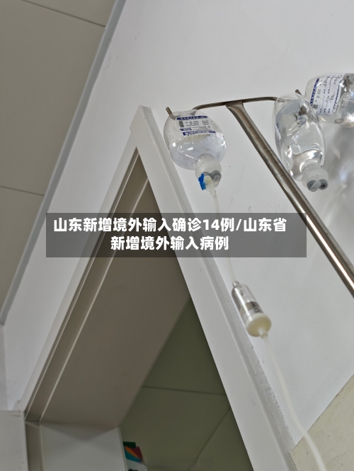 山东新增境外输入确诊14例/山东省新增境外输入病例-第3张图片
