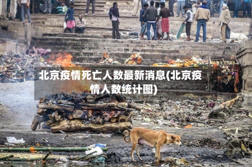 北京疫情死亡人数最新消息(北京疫情人数统计图)-第2张图片