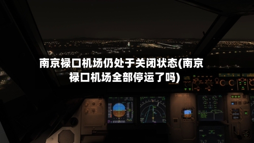 南京禄口机场仍处于关闭状态(南京禄口机场全部停运了吗)-第2张图片