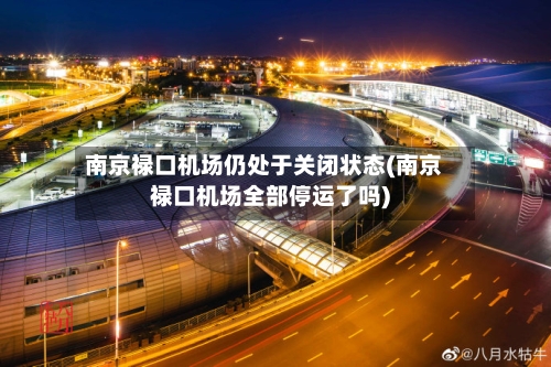 南京禄口机场仍处于关闭状态(南京禄口机场全部停运了吗)-第3张图片