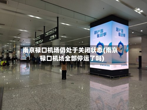 南京禄口机场仍处于关闭状态(南京禄口机场全部停运了吗)