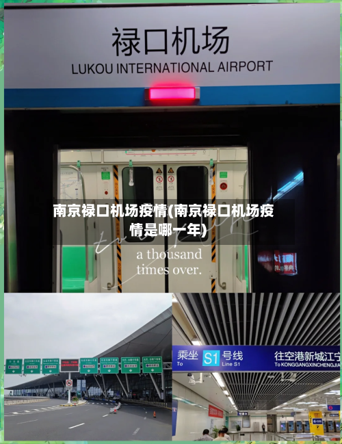 南京禄口机场疫情(南京禄口机场疫情是哪一年)