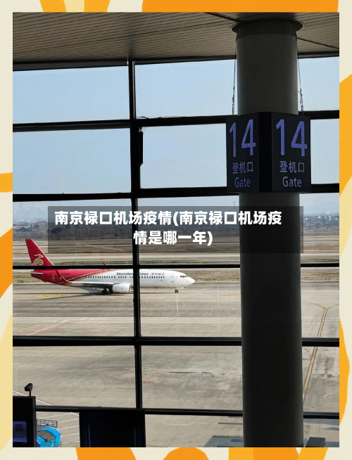 南京禄口机场疫情(南京禄口机场疫情是哪一年)-第3张图片