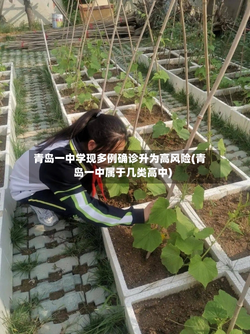 青岛一中学现多例确诊升为高风险(青岛一中属于几类高中)