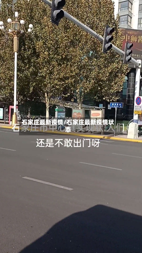 石家庄最新疫情/石家庄最新疫情状态-第2张图片