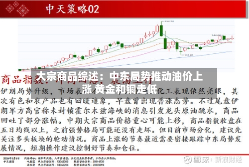 大宗商品综述：中东局势推动油价上涨 黄金和铜走低-第2张图片