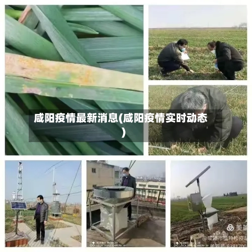 咸阳疫情最新消息(咸阳疫情实时动态)