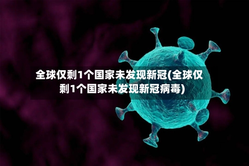 全球仅剩1个国家未发现新冠(全球仅剩1个国家未发现新冠病毒)