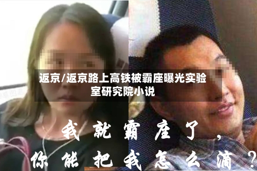 返京/返京路上高铁被霸座曝光实验室研究院小说
