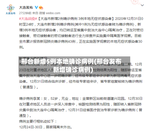 邢台新增5例本地确诊病例(邢台发布新增确诊病例)-第2张图片