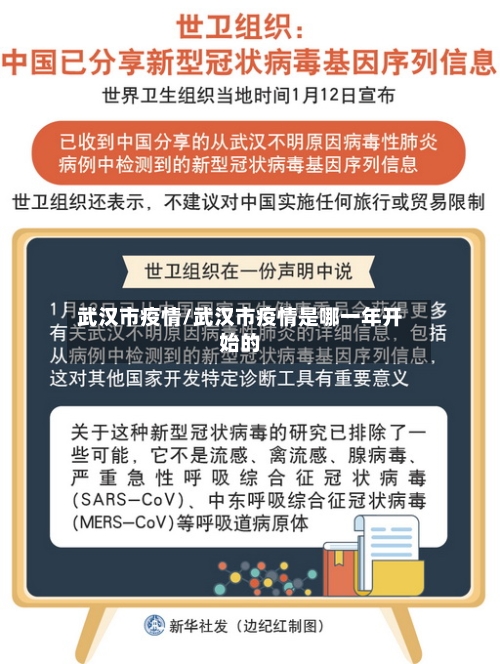 武汉市疫情/武汉市疫情是哪一年开始的