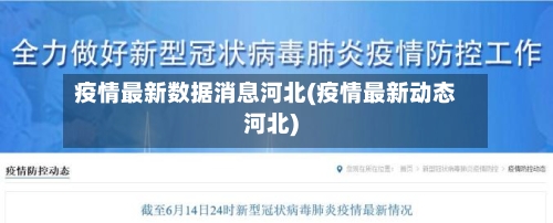 疫情最新数据消息河北(疫情最新动态河北)-第2张图片
