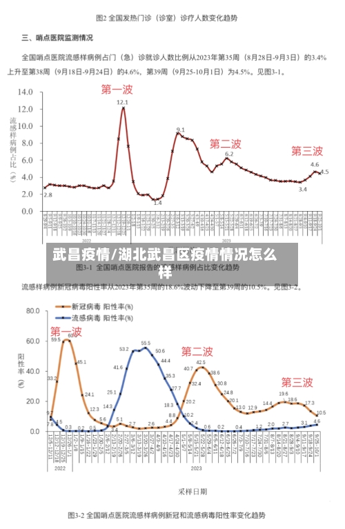 武昌疫情/湖北武昌区疫情情况怎么样