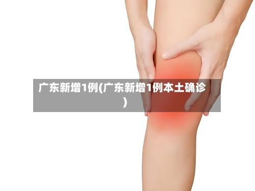 广东新增1例(广东新增1例本土确诊)-第2张图片