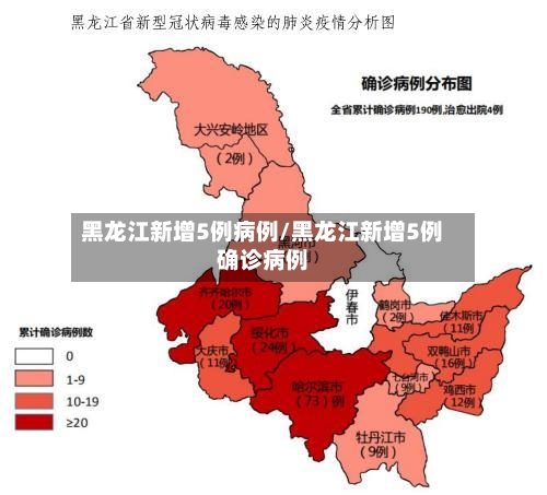 黑龙江新增5例病例/黑龙江新增5例确诊病例