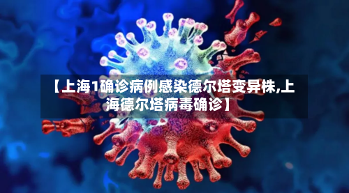 【上海1确诊病例感染德尔塔变异株,上海德尔塔病毒确诊】-第2张图片