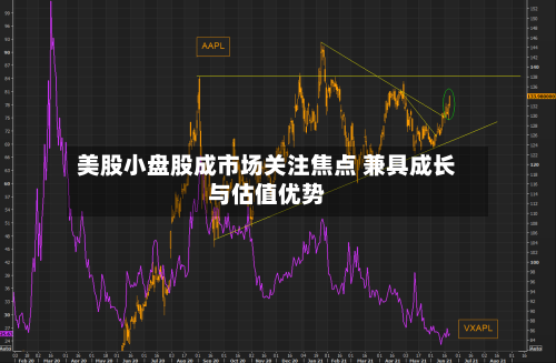 美股小盘股成市场关注焦点 兼具成长与估值优势