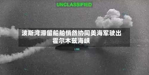 波斯湾滞留船舶悄然协同美海军驶出霍尔木兹海峡-第3张图片