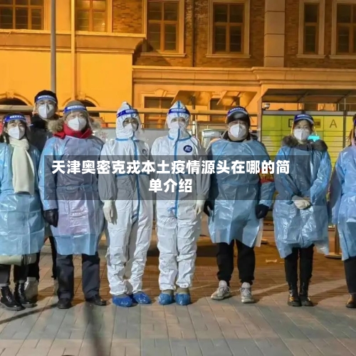 天津奥密克戎本土疫情源头在哪的简单介绍-第3张图片