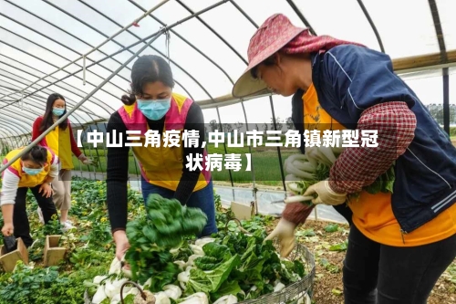 【中山三角疫情,中山市三角镇新型冠状病毒】-第3张图片