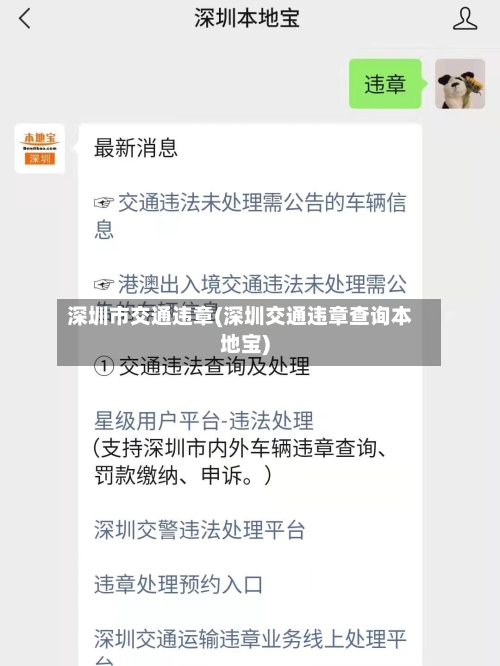 深圳市交通违章(深圳交通违章查询本地宝)