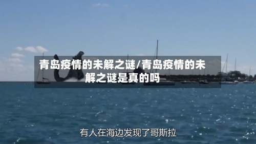 青岛疫情的未解之谜/青岛疫情的未解之谜是真的吗-第3张图片