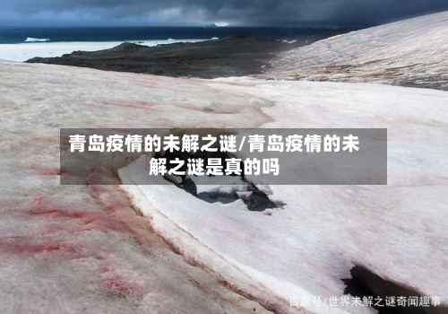 青岛疫情的未解之谜/青岛疫情的未解之谜是真的吗